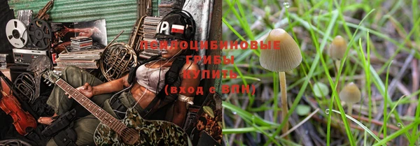 первитин Богородицк