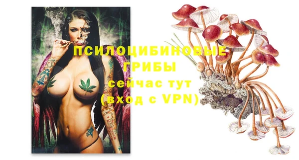 MDMA Богородск